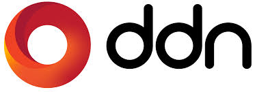 DDN Logo